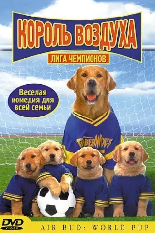 Король воздуха: Лига чемпионов (2000)