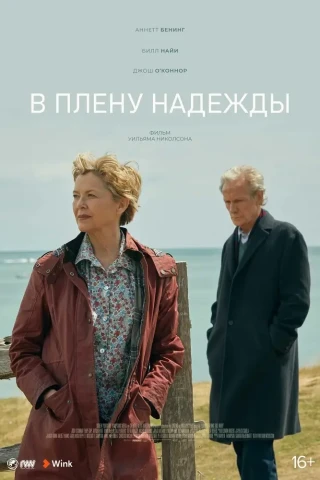 В плену надежды (2019)