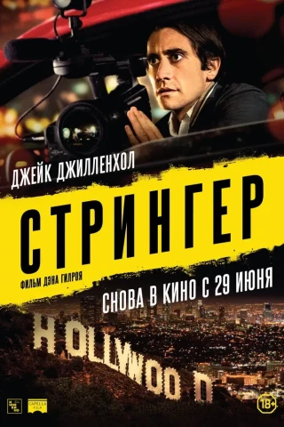 Стрингер (2013)